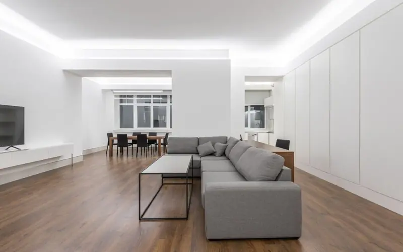 Developer