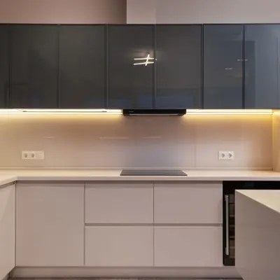 Prestige Silver Springs - photo 8