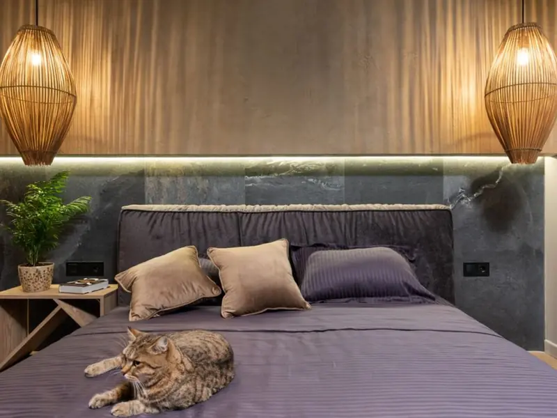 Development Map